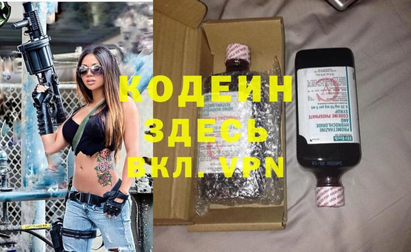 гашик Арсеньев