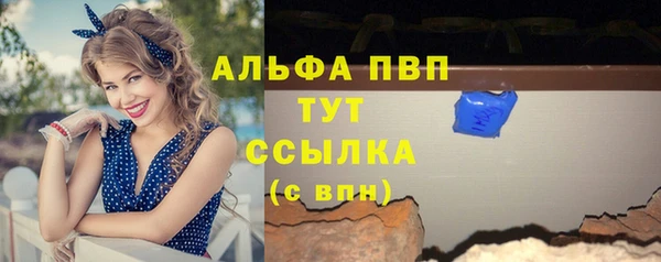 гашик Арсеньев