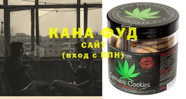 гашик Арсеньев