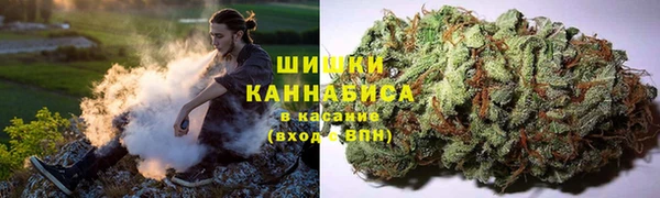 гашик Арсеньев